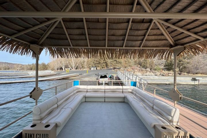 Boat with Tiki roof and wrap-around seating docked near a lakeside with trees in the background.